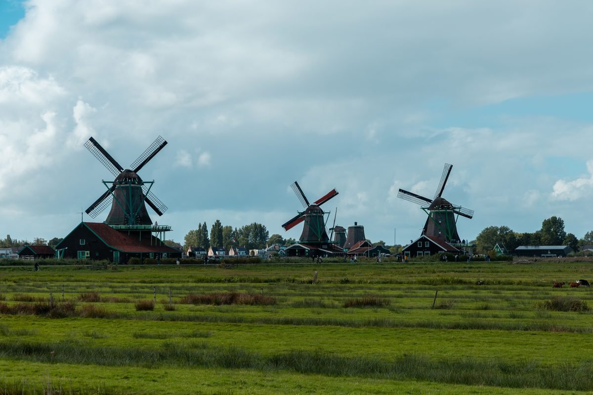 Windmills in an open field near the water.