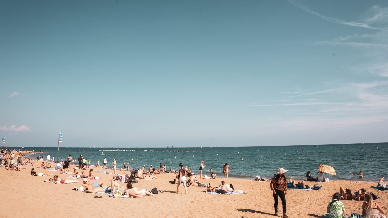 People relaxing on a sandy shore next to ocean waves during a sunny day.
