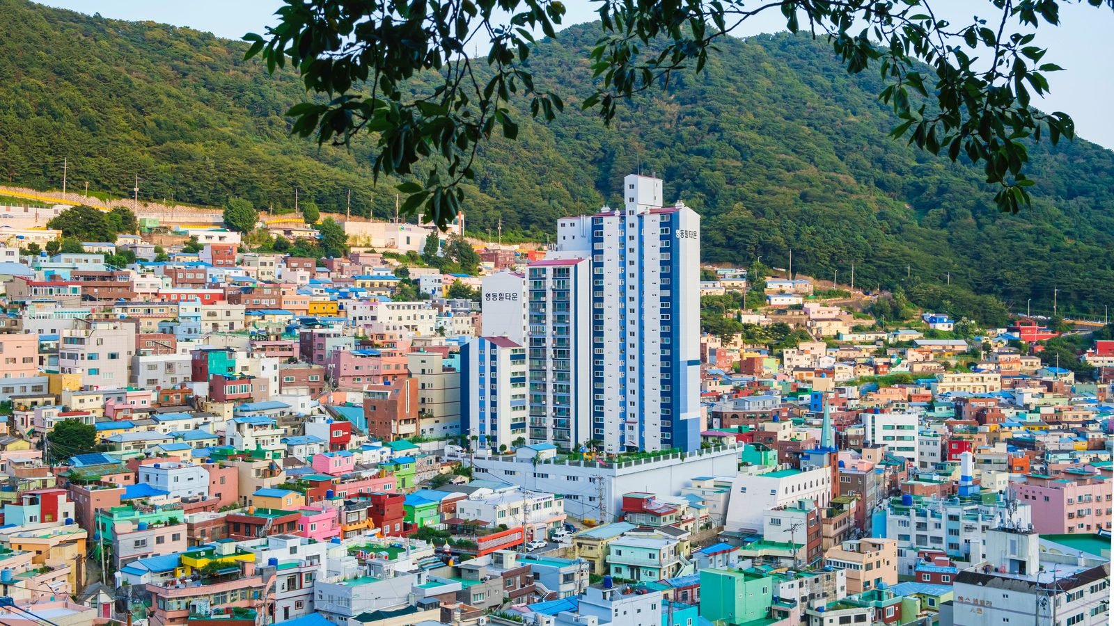 Aerial perspective of a dense neighborhood nestled against green hills