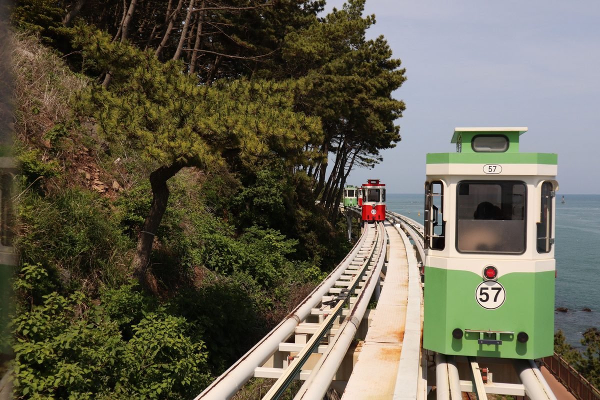 Small coastal tourist train cars traveling on an elevated track near green trees