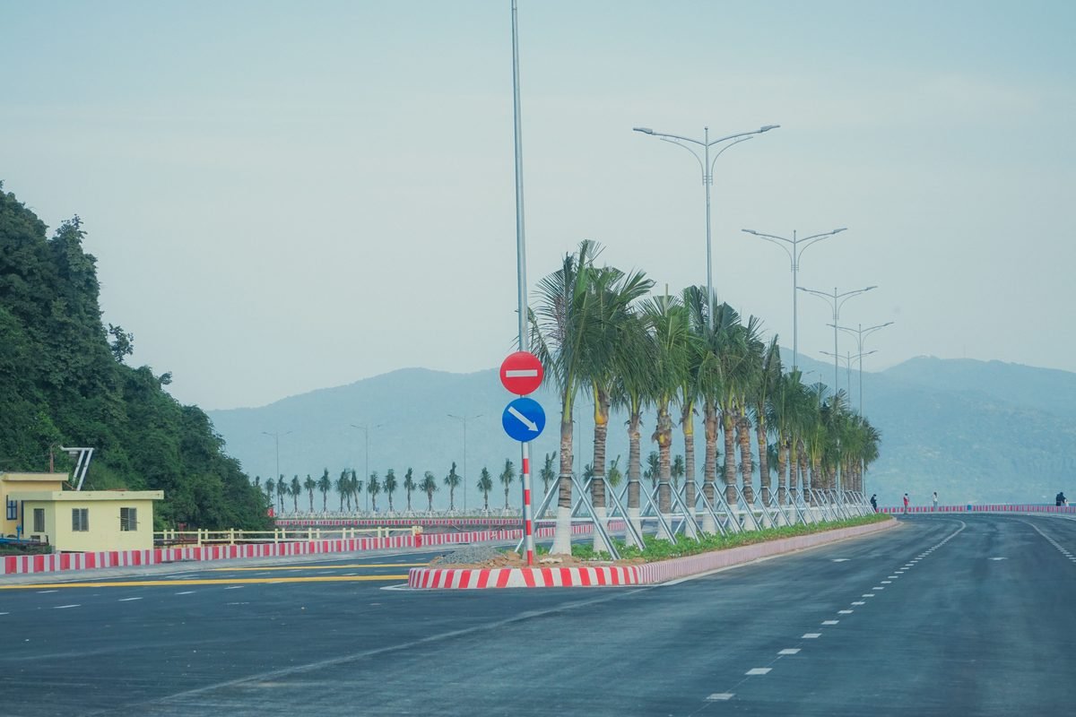Palm-lined coastal road in Da Nang, Vietnam