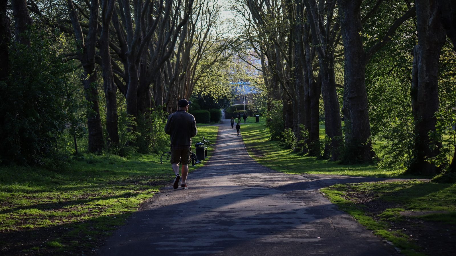 Person walking down a shaded park path surrounded by tall trees.
