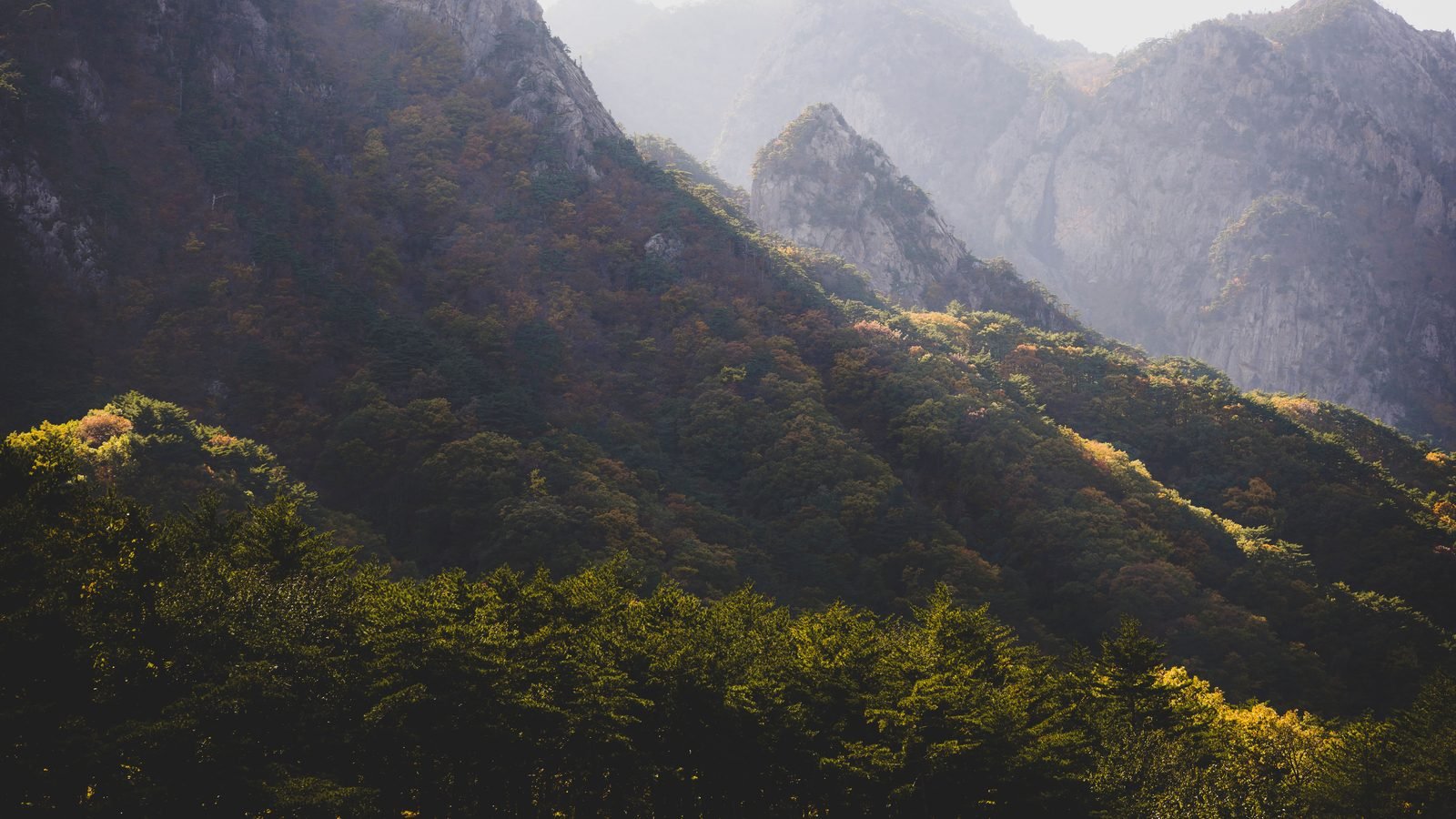Beautiful mountain landscape with lush forest in fall colors