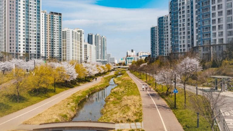 A small wooden bridge crosses a narrow stream lined with blooming cherry trees and tall apartments