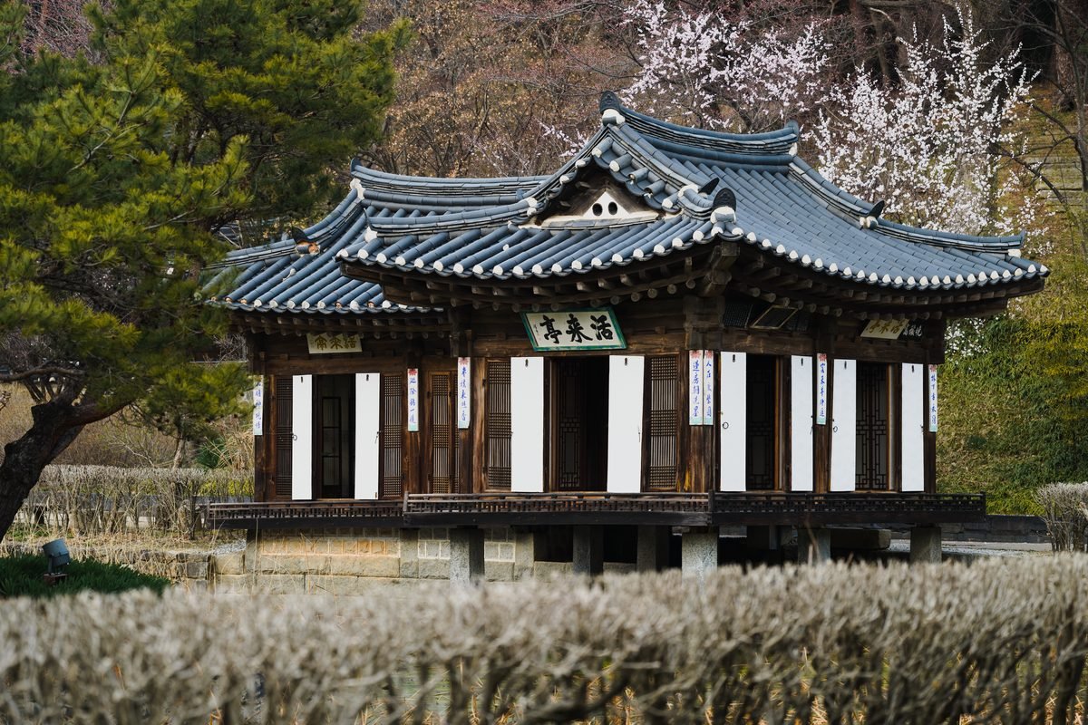 A traditional Korean pavilion surrounded by blooming cherry blossoms and greenery