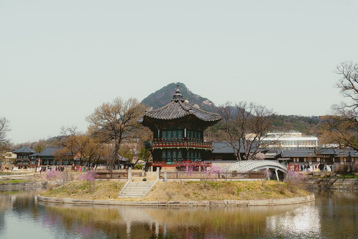 Gyeongbokgung Palace pavilion on a small island framed by spring cherry blossoms in Seoul
