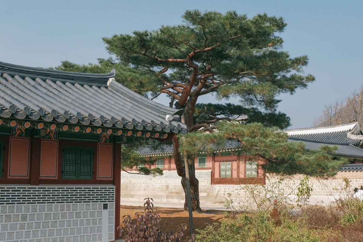 Traditional Korean architecture and serene palace gardens