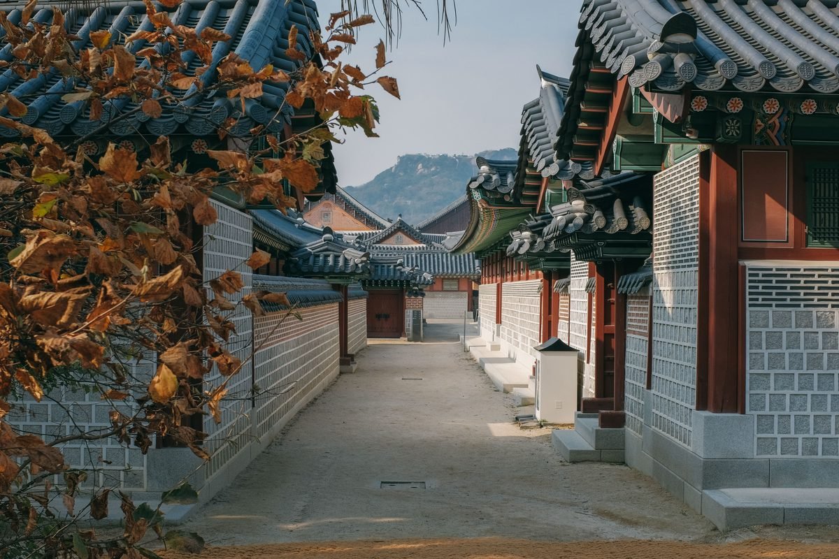 Historical Korean architecture framed by autumn trees at Gyeongbokgung.