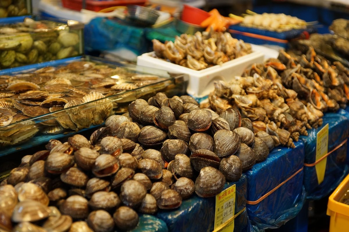 Assorted shellfish and seafood displayed at a Korean wet market