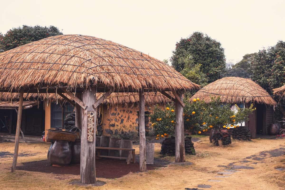 Traditional Jeju village featuring thatched huts and orange trees