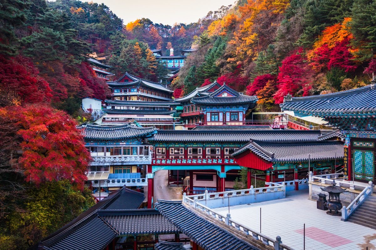 Traditional temple surrounded by vibrant autumn foliage