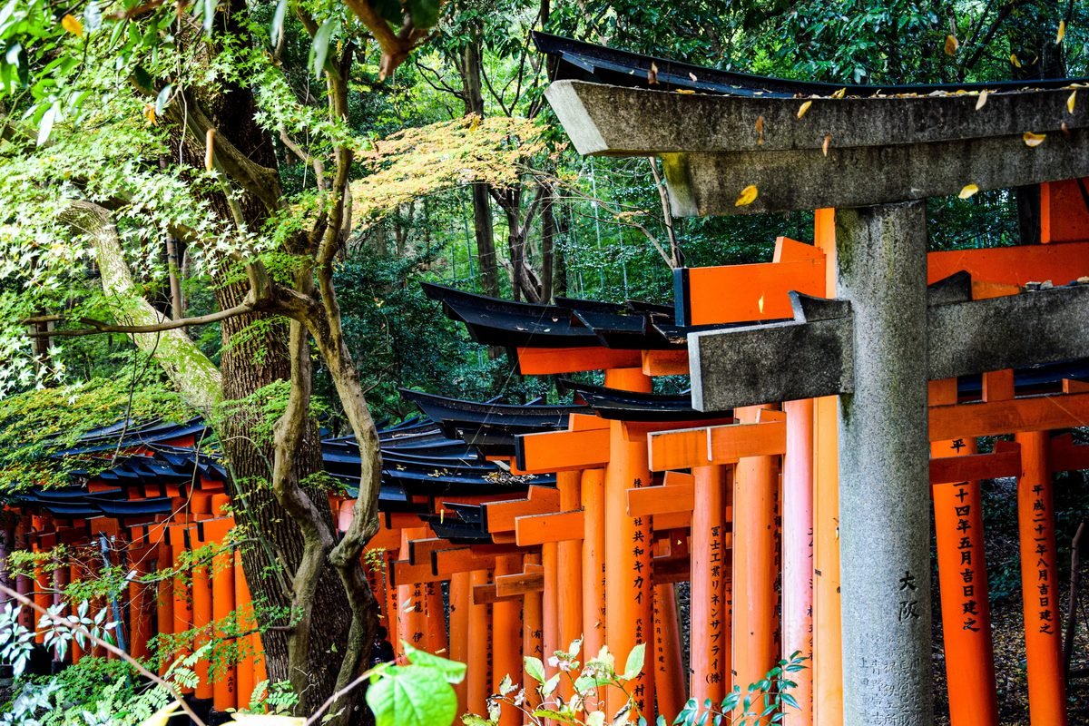 Torii gate path at Fushimi Inari Taisha in Kyoto.