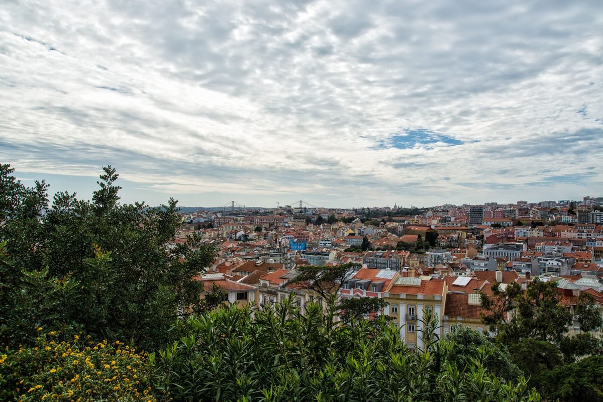 Vibrant rooftops of Lisbon seen through lush green foliage beneath a cloudy sky.