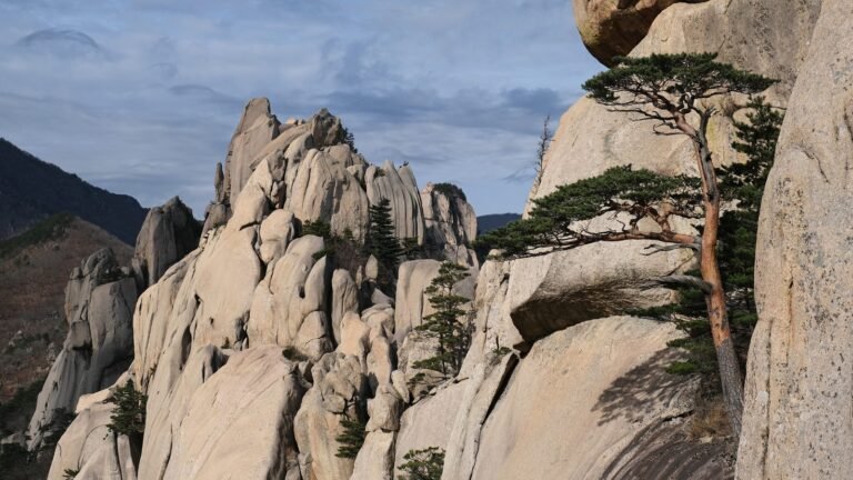 Granite rock peaks and pine trees in Seoraksan National Park