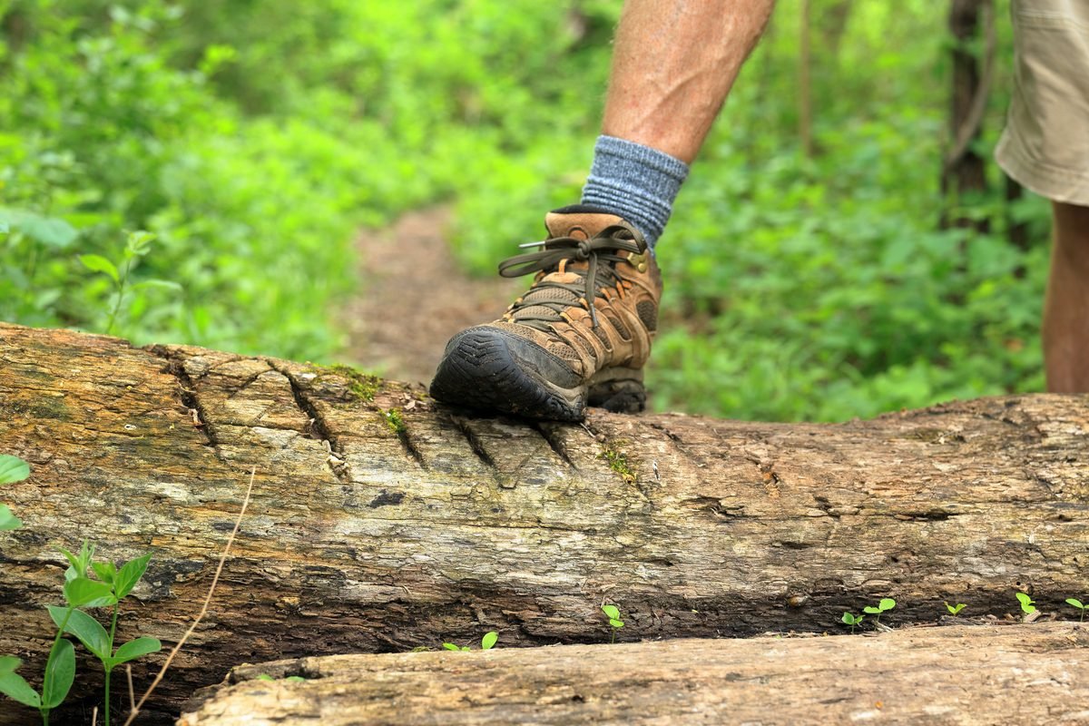 Hiker's boot stepping over a fallen log on a trail