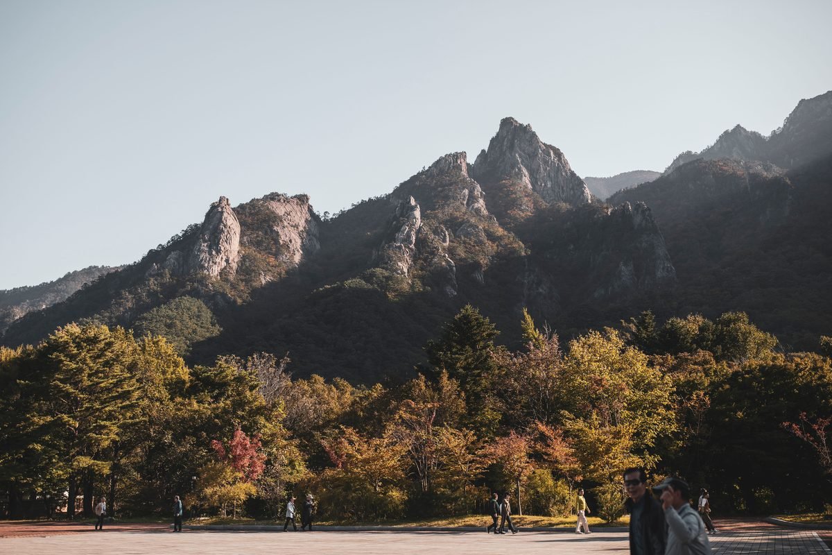 Mountains and vibrant autumn forest