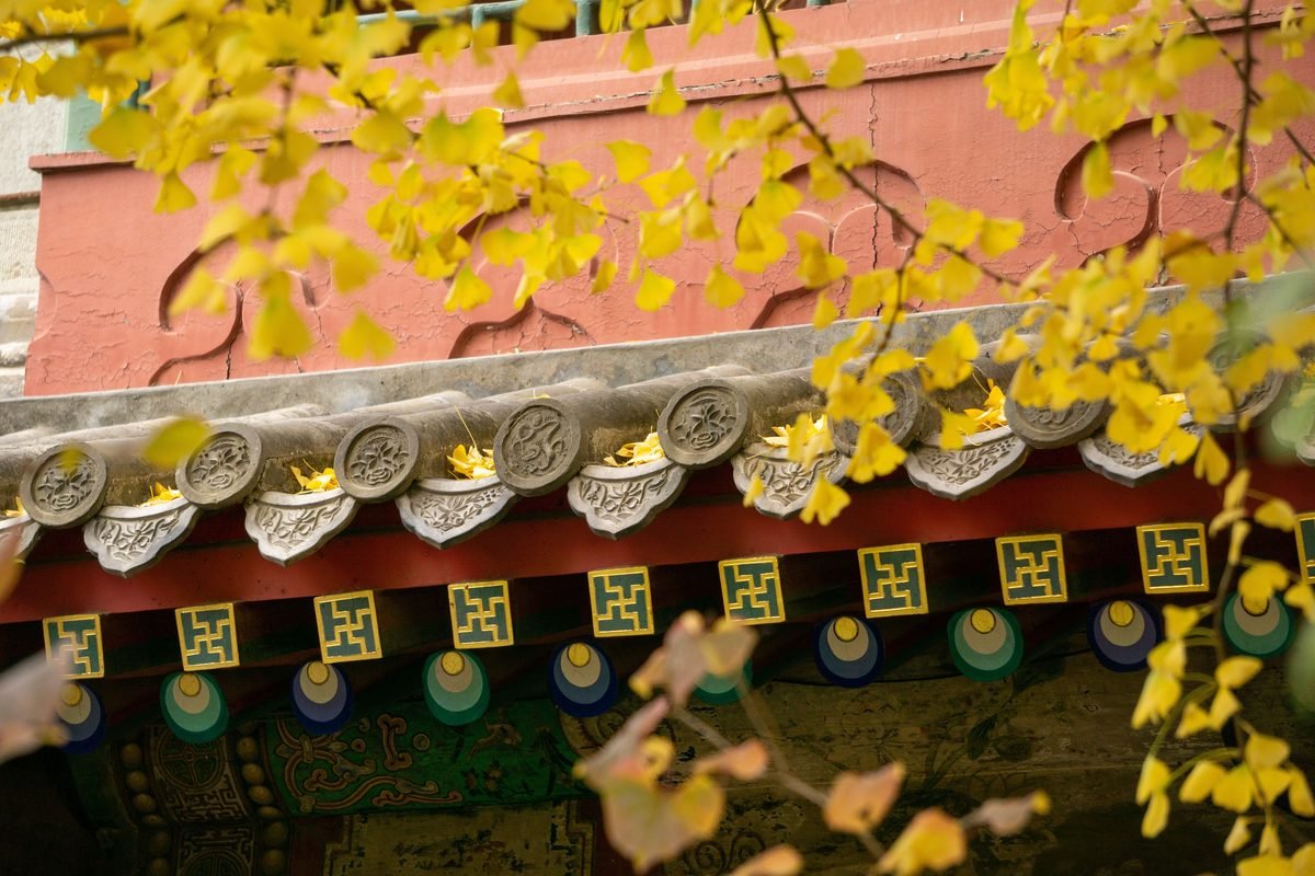 Close-up of traditional architectural details with vibrant autumn leaves.