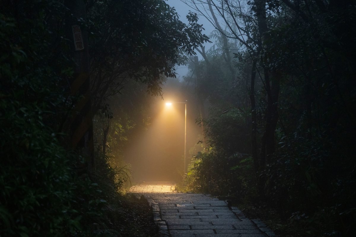 Serene forest path lit by a streetlamp on a misty night.