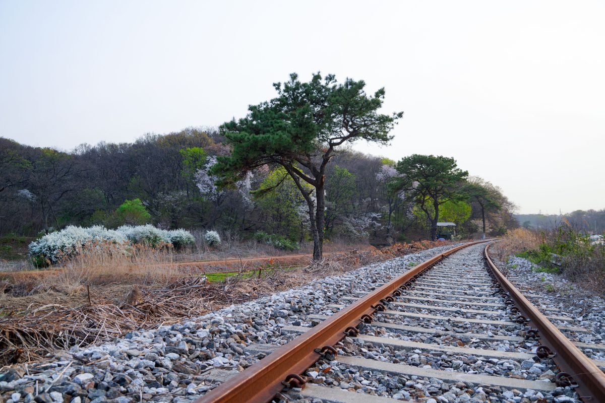 Scenic view of a railroad track through rural greenery in South Korea.