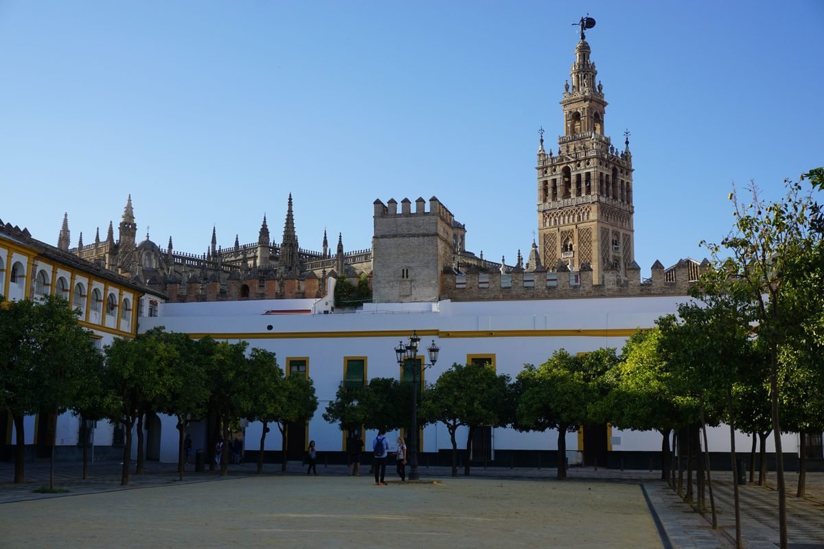 Giralda Tower and Seville Cathedral viewed past green trees.