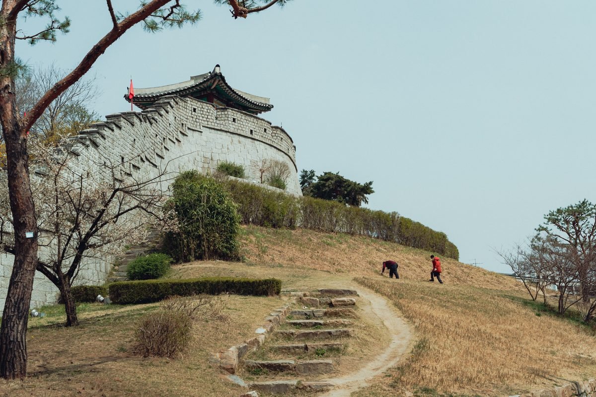 Hwaseong Fortress wall winding up a grassy hill with trees