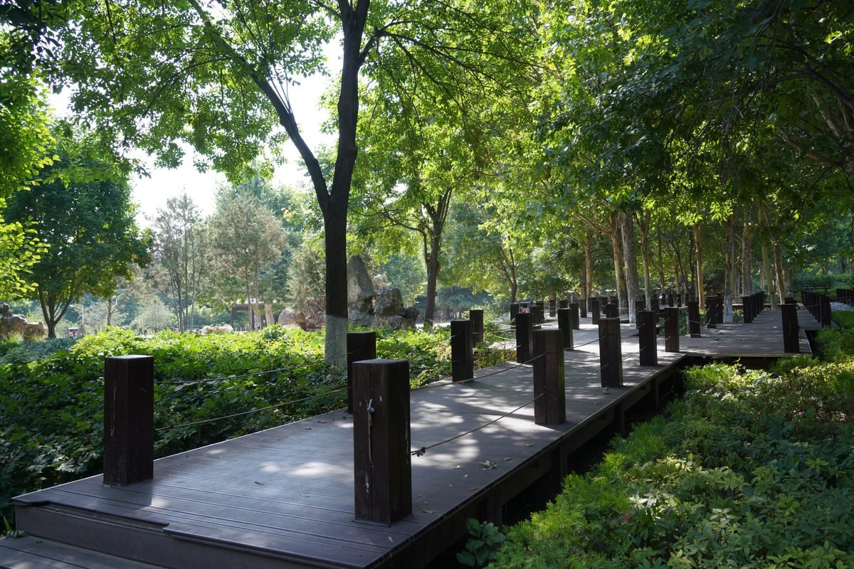 A serene wooden pathway through a verdant leafy park offering tranquility.