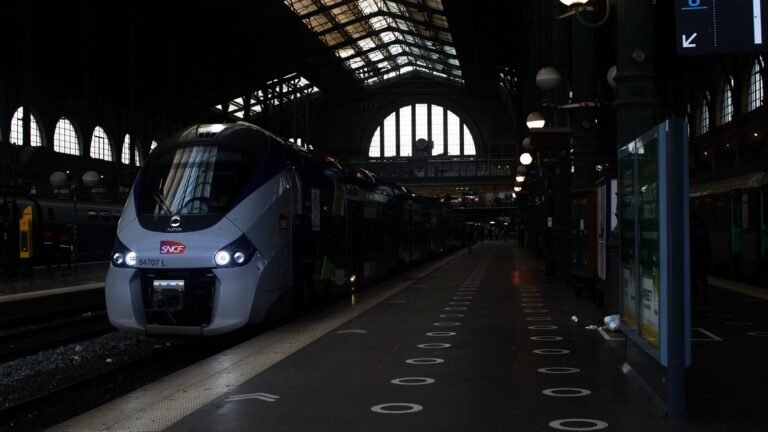 A modern high-speed train parked at a platform inside Paris Nord station.