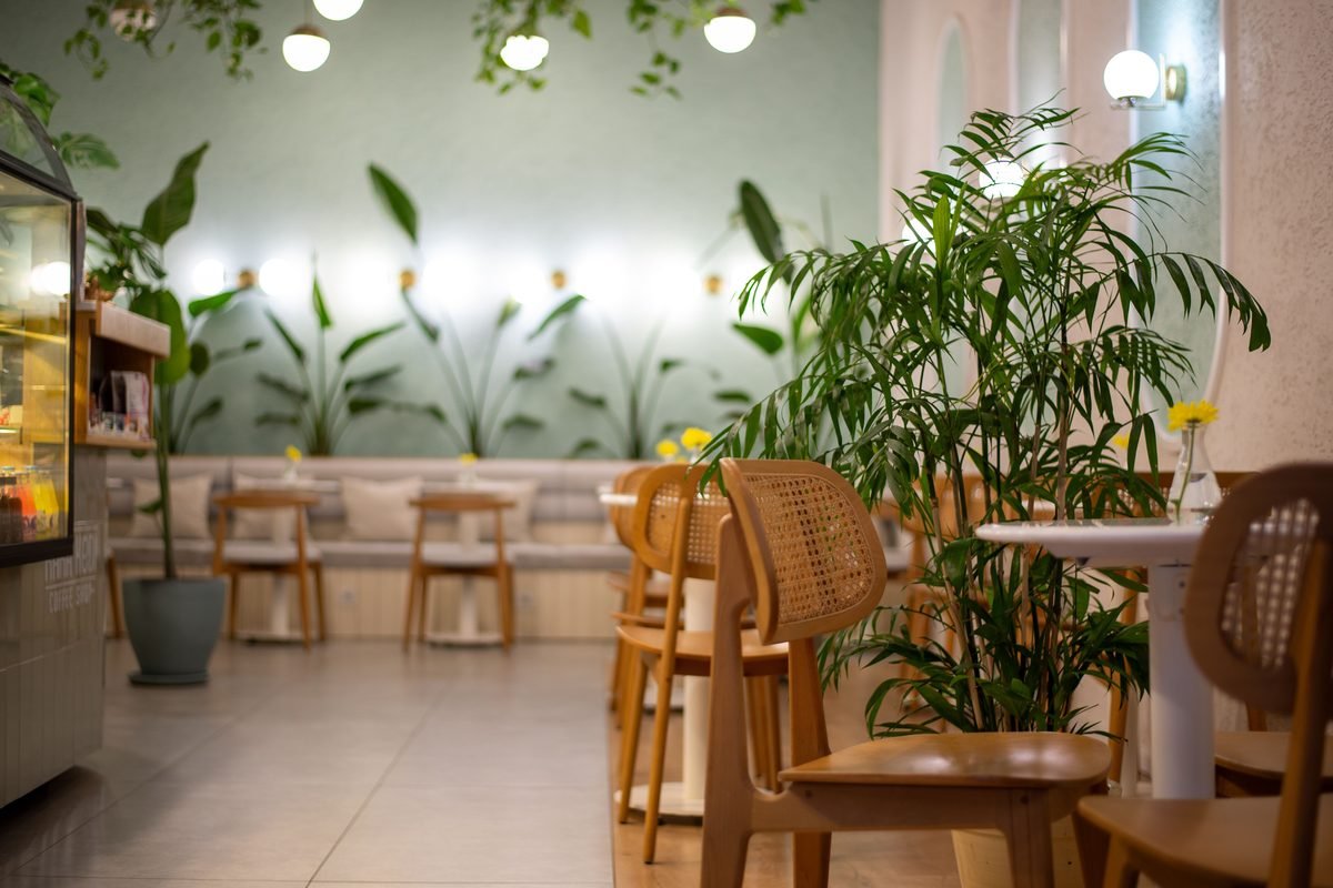 Cozy cafe interior featuring light wooden furniture and hanging green plants.