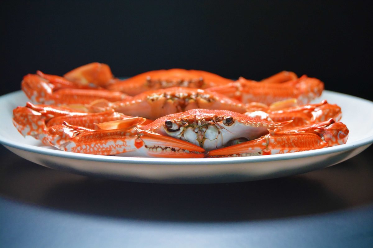 Steamed red crabs beautifully plated on a white dish against a dark background.