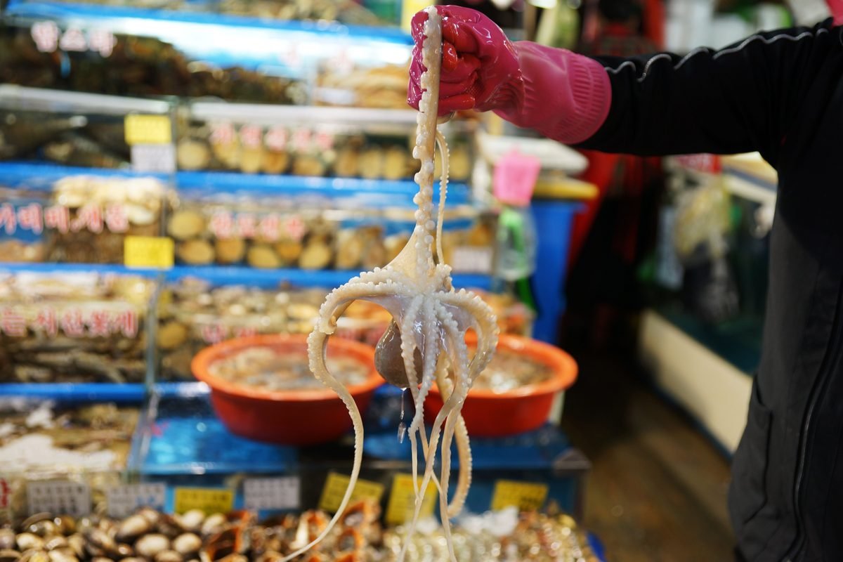 Vendor in a black top holding up a fresh octopus with suction cups at a market stall.
