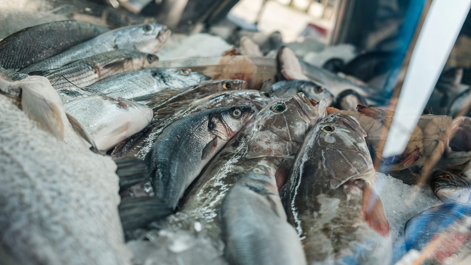 Fresh fish laid out on a bed of crushed ice at a seafood market.