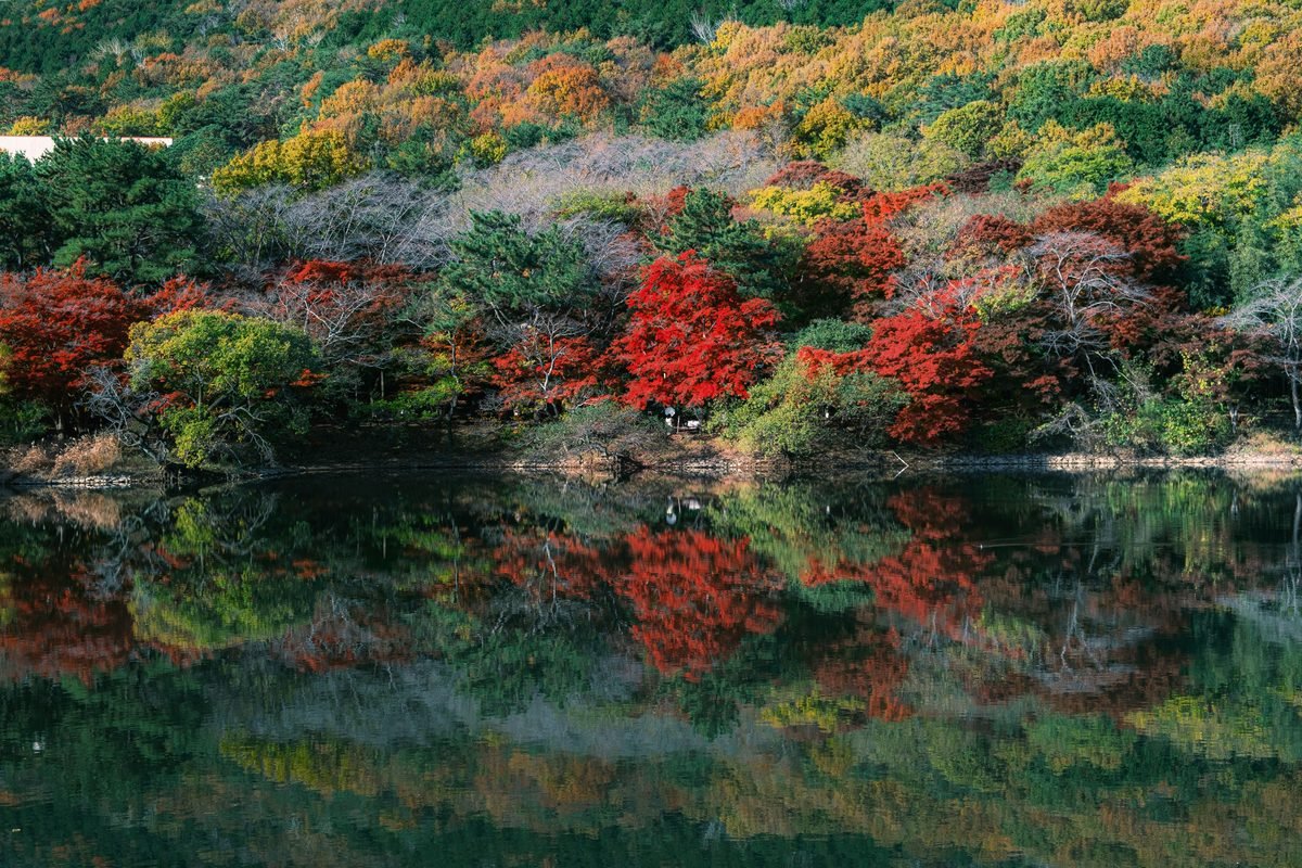 Vibrant autumn foliage reflecting perfectly on the calm water of a forest lake