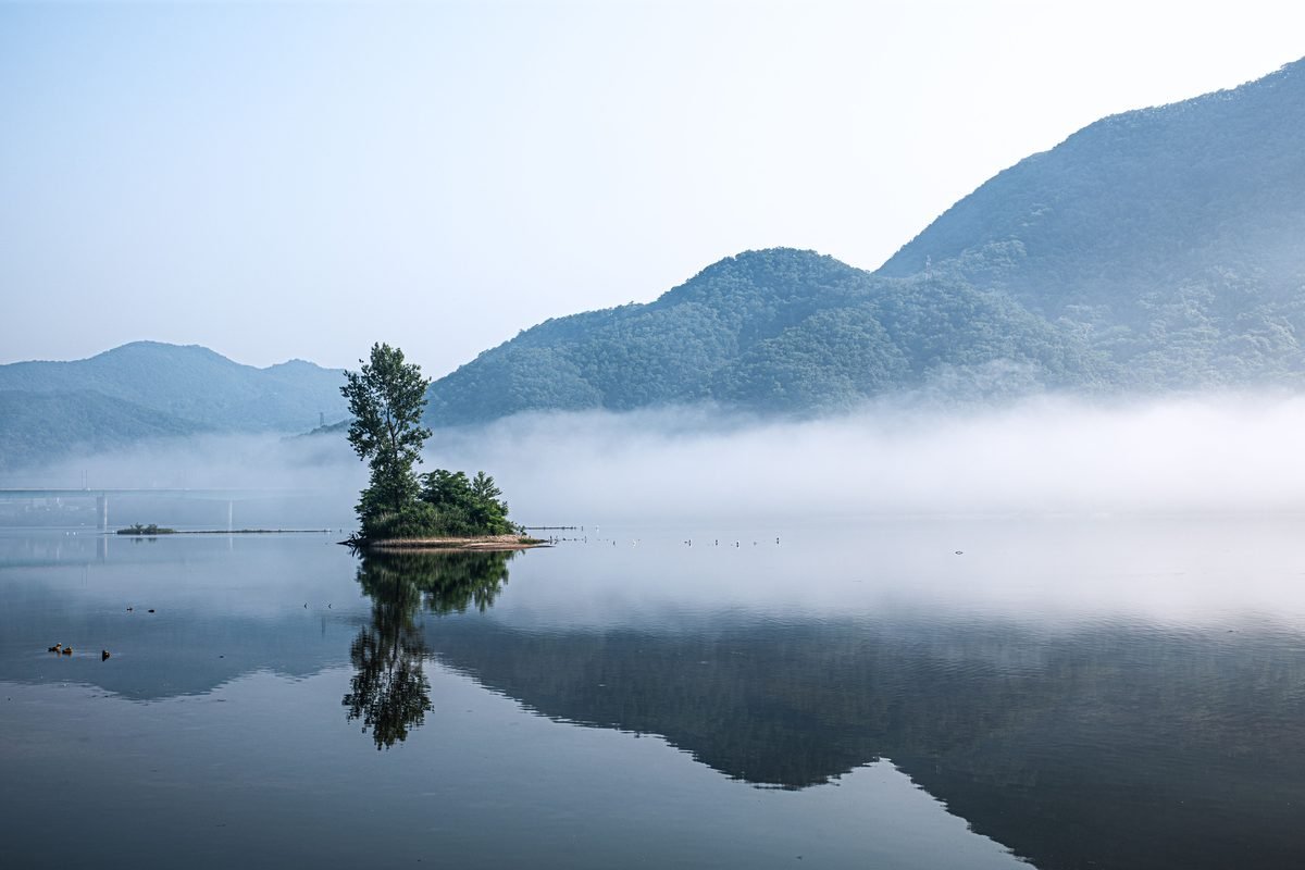 Morning mist resting over a calm lake surface reflecting a tree-covered islet