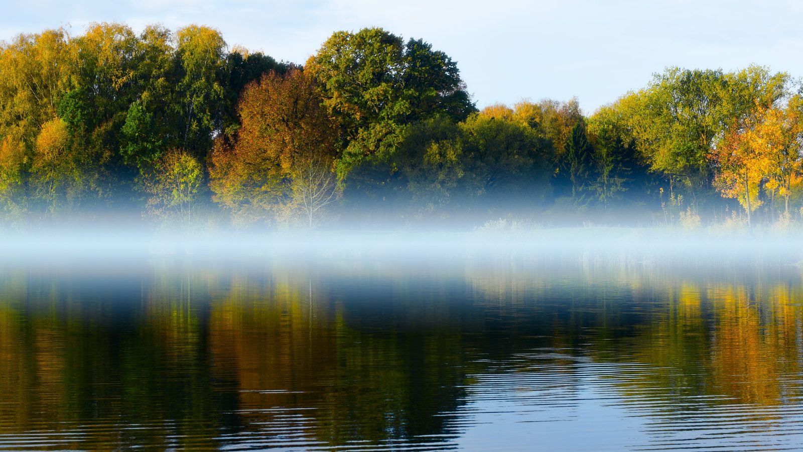 Calm water surface with a soft layer of fog drifting across a wooded shoreline