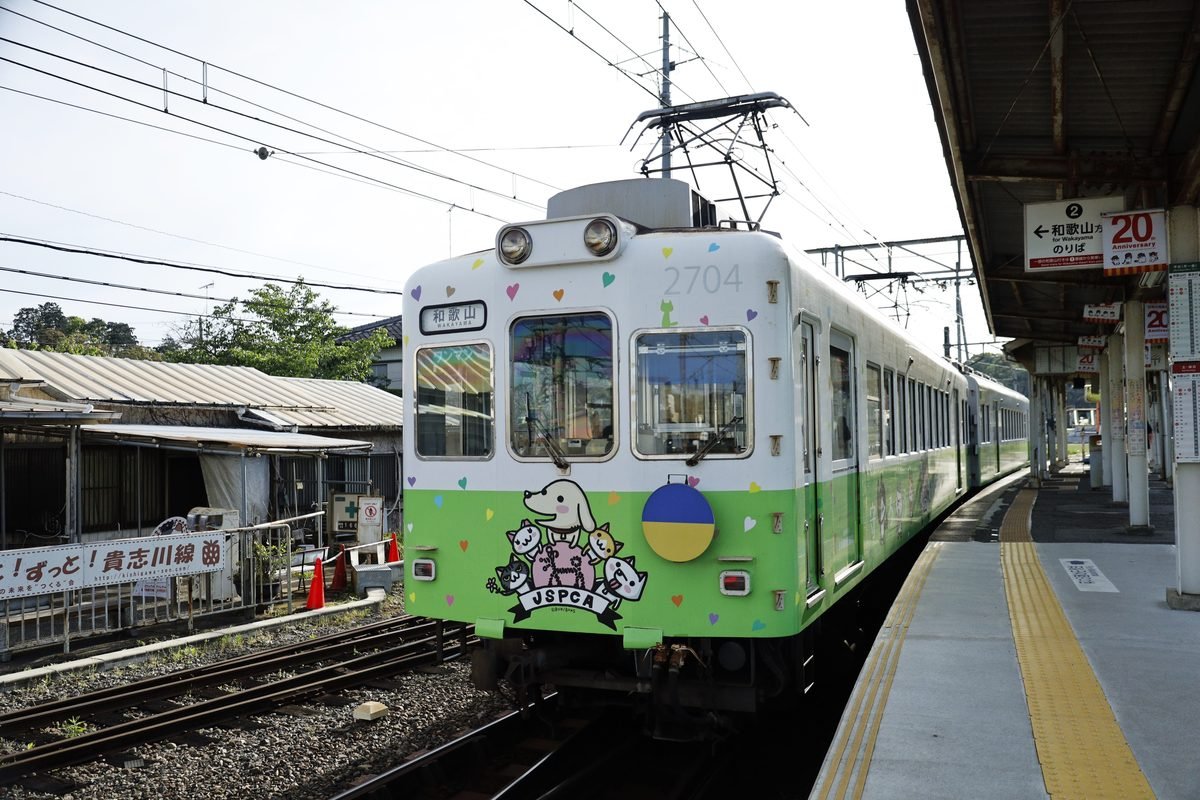 Green and white local commuter train stopped at an open-air railway platform