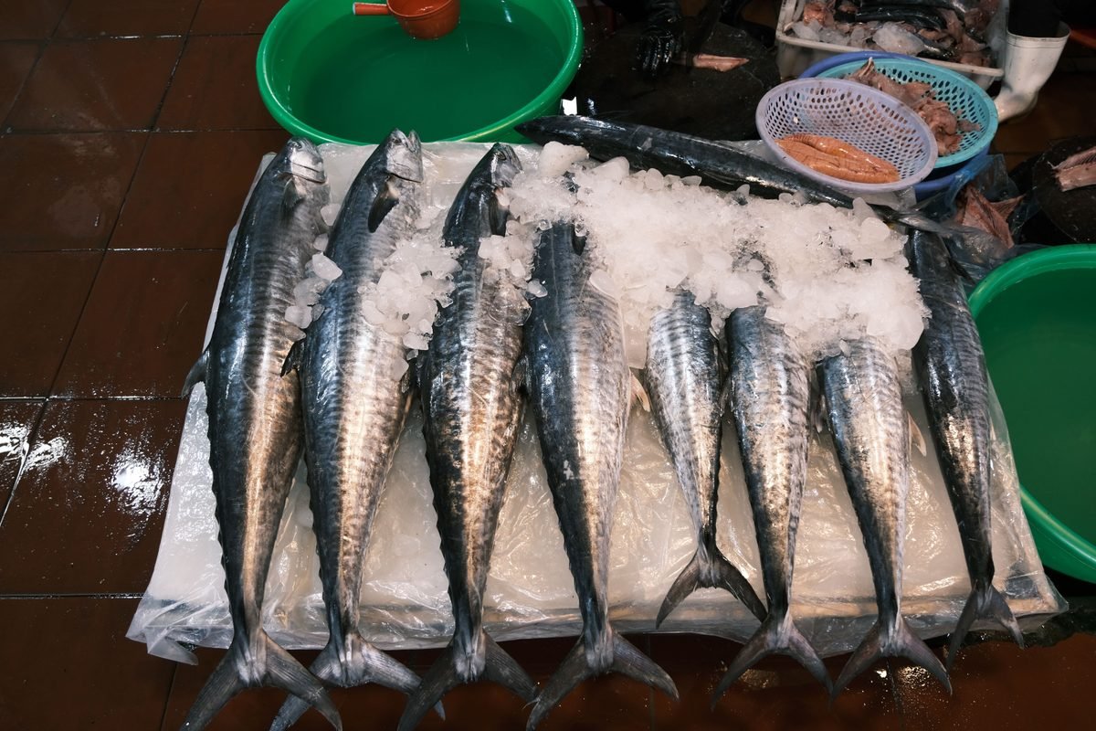 Fresh fish displayed on ice at a market stall.