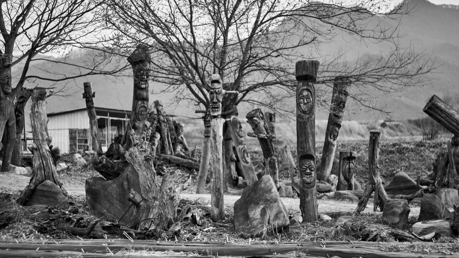 Traditional wooden totem poles and rural landscape in Andong