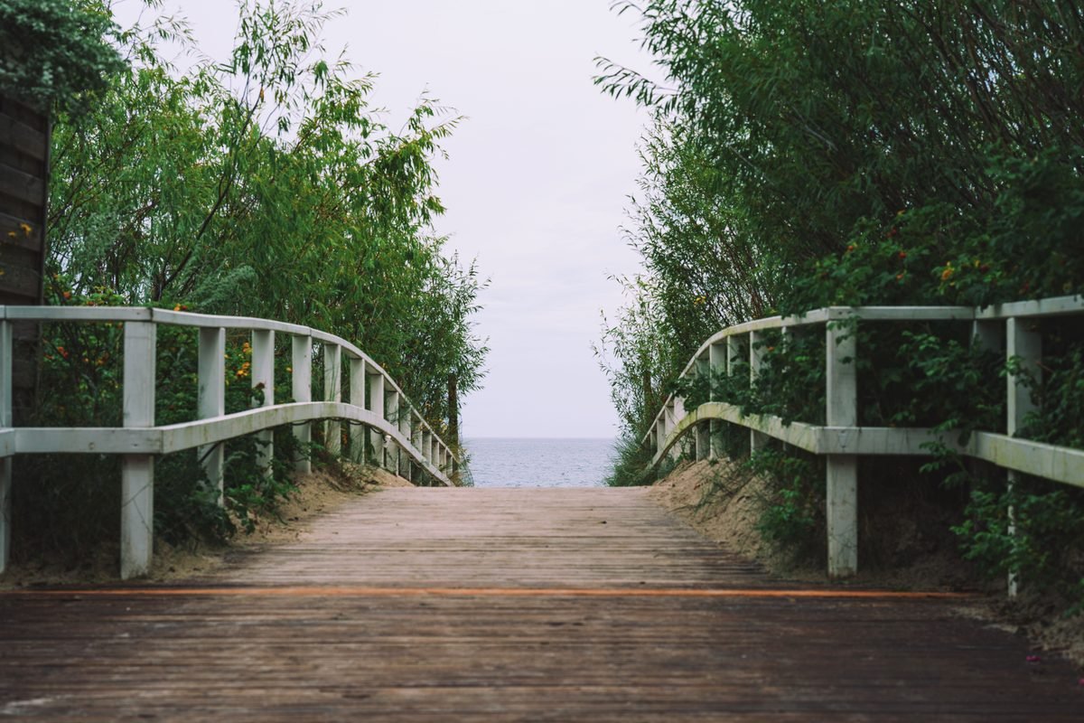 Wooden bridge path framed by green bushes leading to the ocean horizon