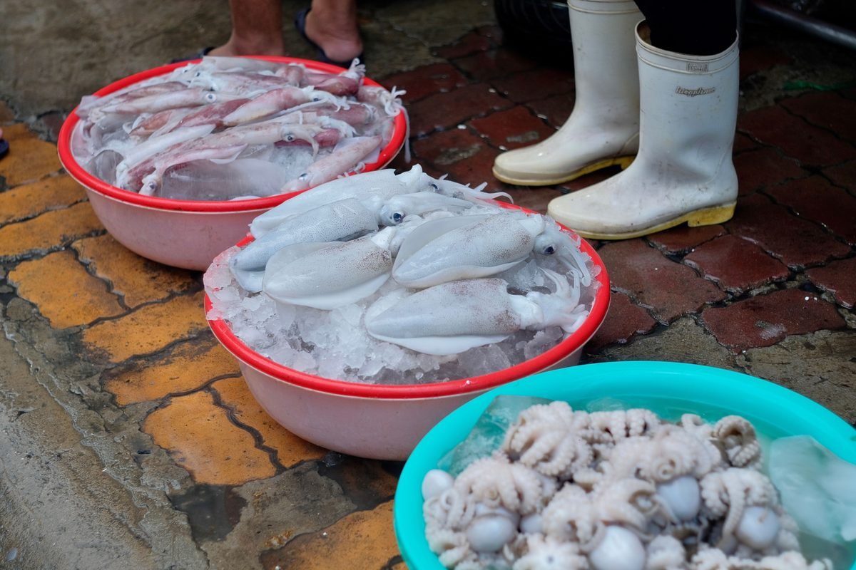 Fresh squid and octopus on ice in bowls at a market