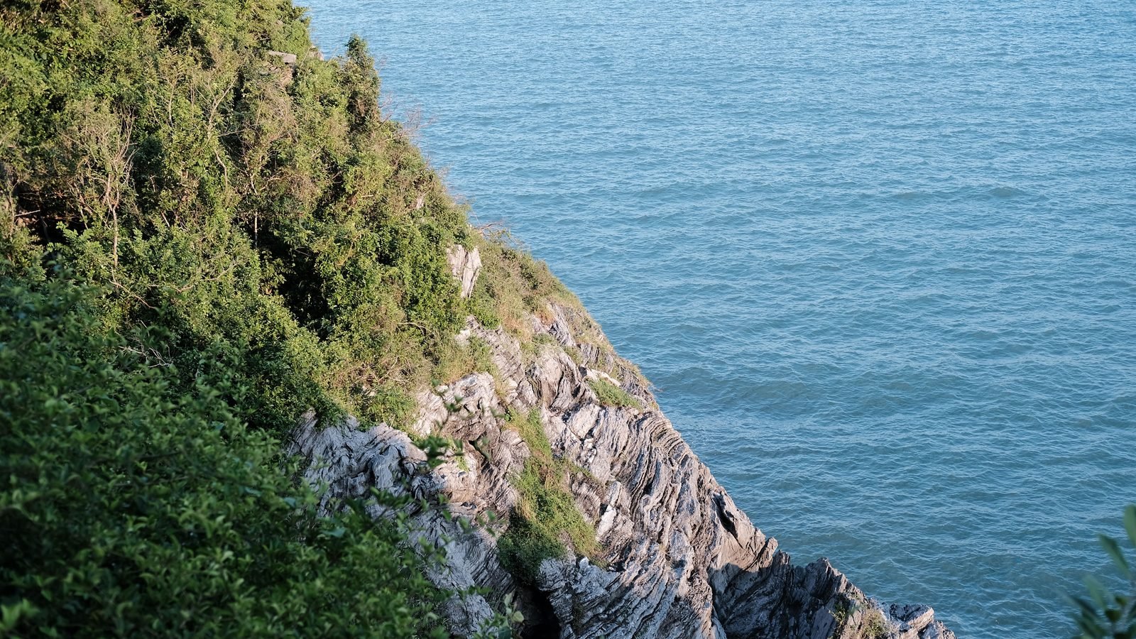 Lush green cliffs meeting blue ocean waters under clear daylight