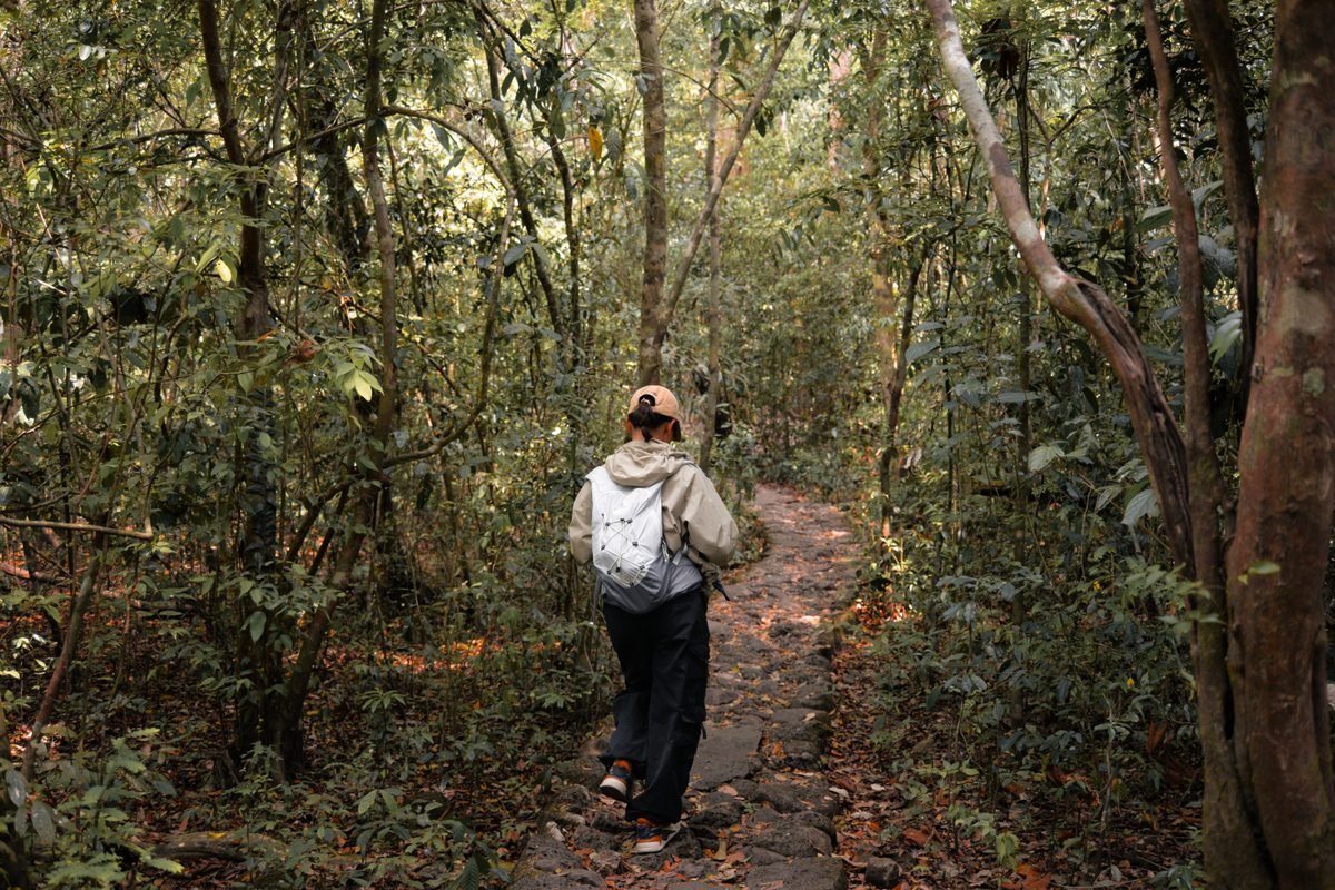 Person walking along a stone path in a dense green forest