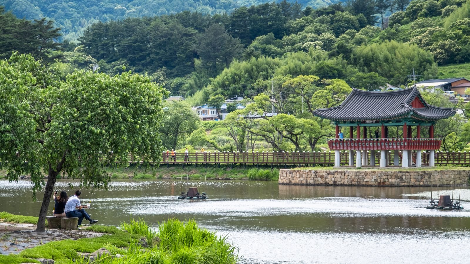 Traditional Korean pavilion in a park surrounded by lush green trees