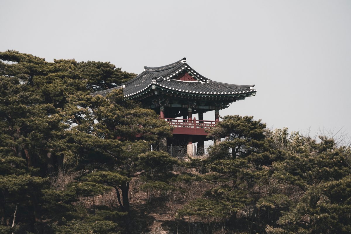 Traditional Korean pavilion structure overlooking pine trees from an elevated viewpoint