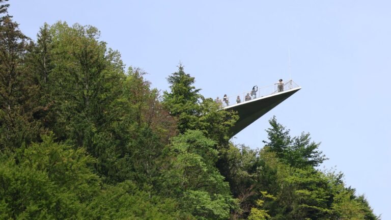 People standing on a glass lookout platform extending over lush greenery