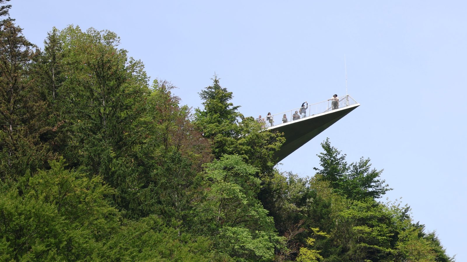 People standing on a glass lookout platform extending over lush greenery