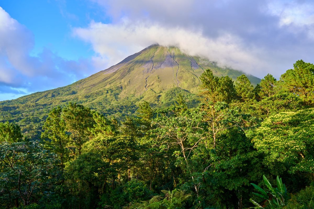 Lush green forest with a prominent volcano peak in the background