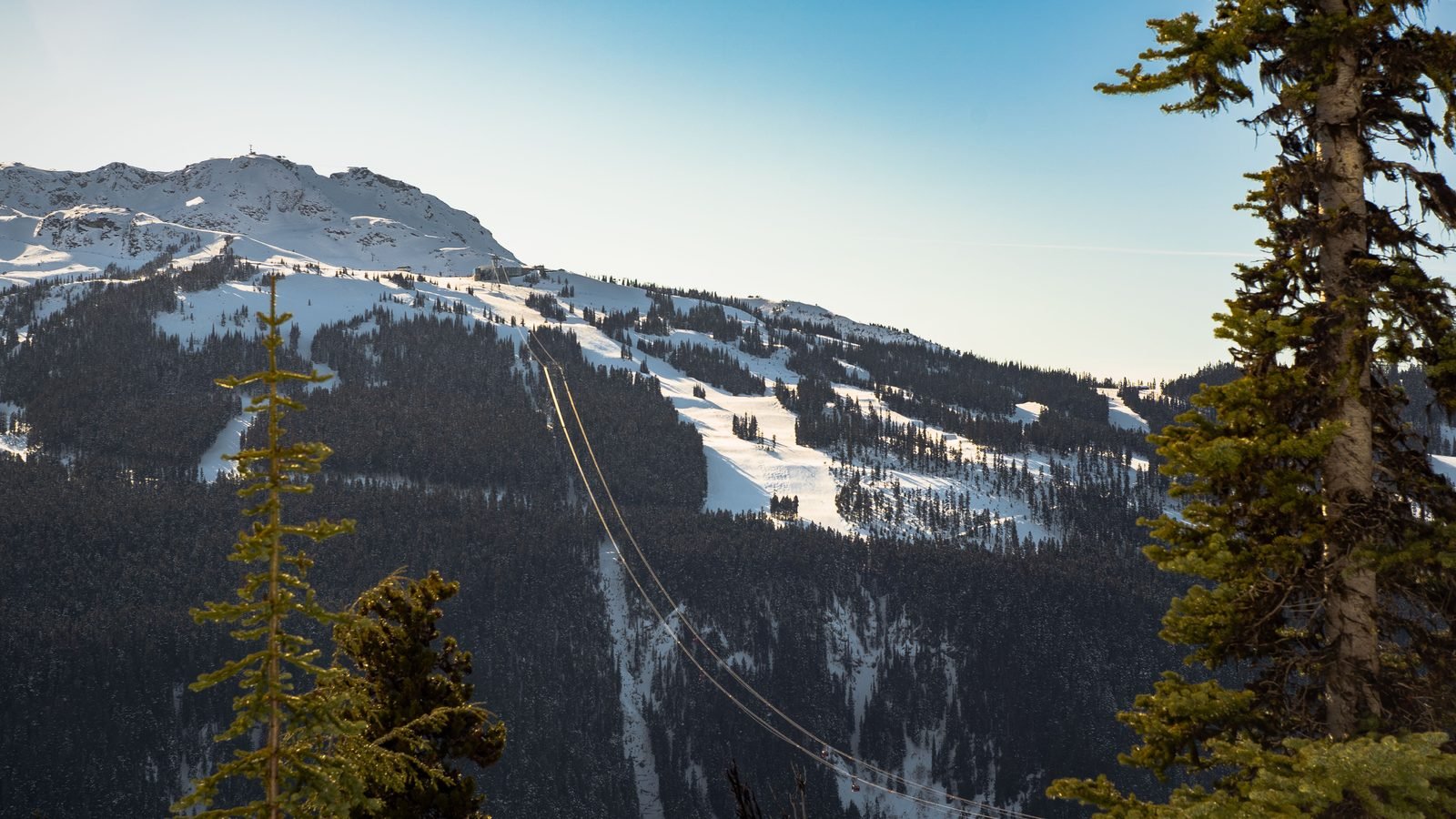 Cable car lines traversing forested snowy mountain slopes