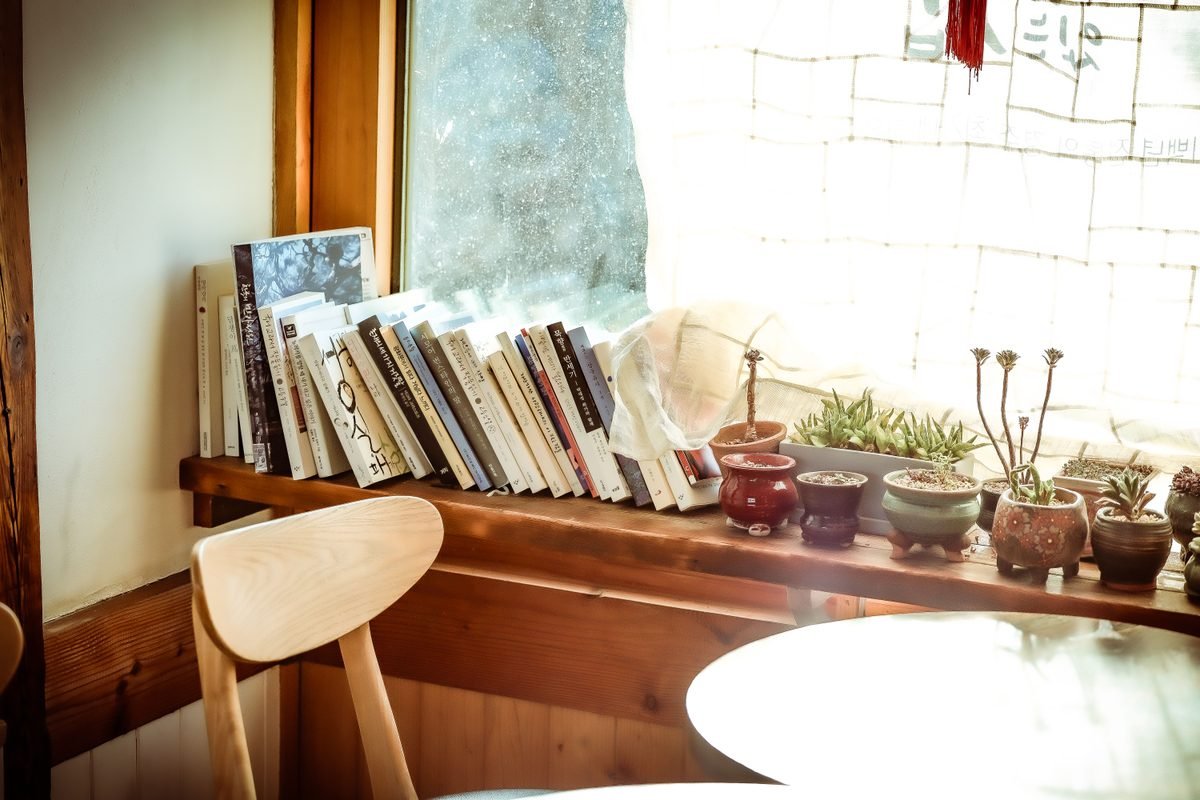 Sunlit window nook with books and succulents in a Gyeongju café.