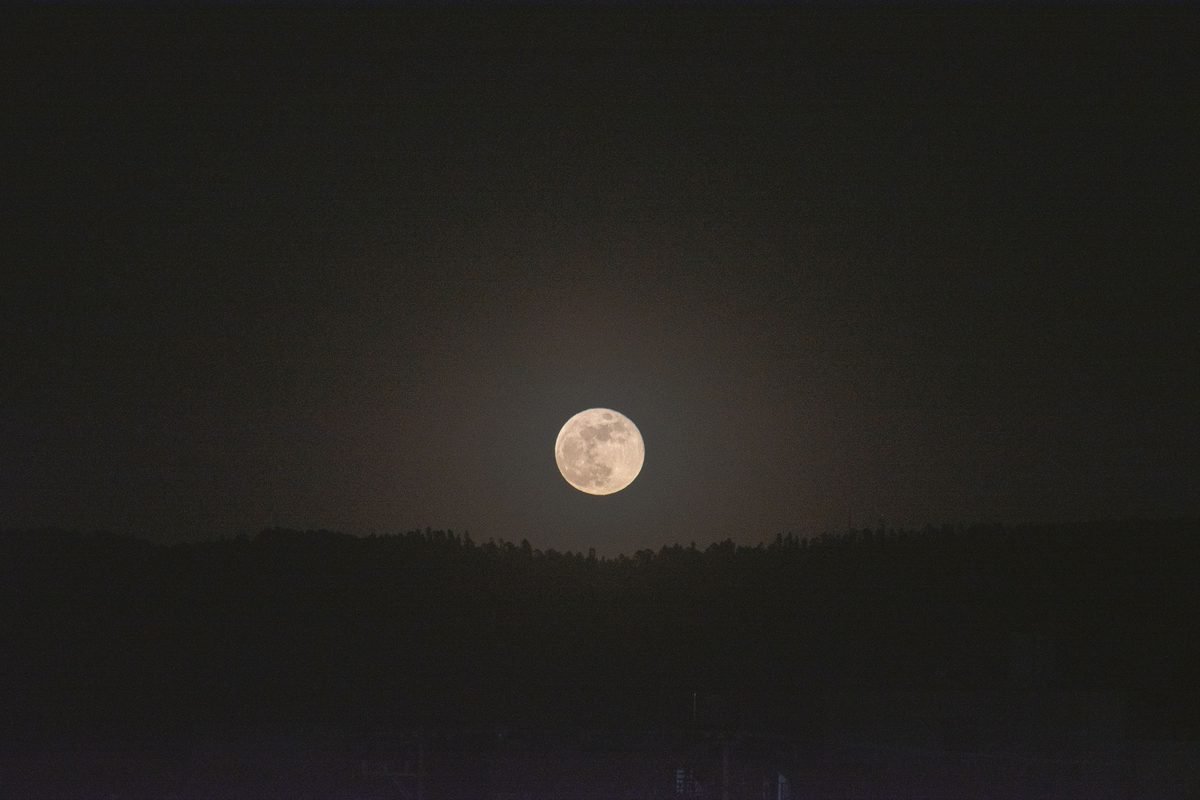 Full moon rising above silhouetted trees against a dark sky