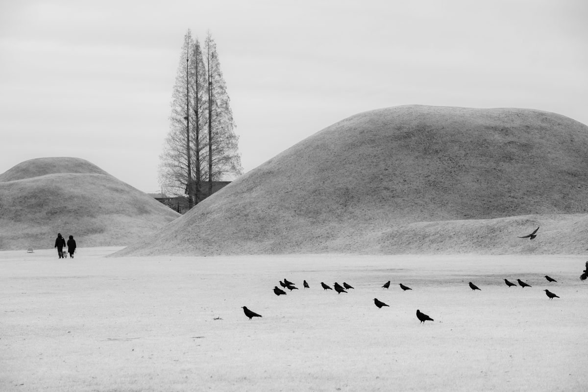 Monochrome landscape with crows and distant figures on rolling hills